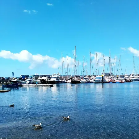 Amarilla 202 דירה קוסטה דל סילנסיו