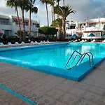 Amarilla 202